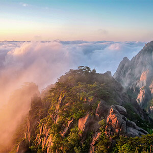 货车违规载人罚款金额_货车违法载人处罚标准_升降货梯载人如何处理掉违章